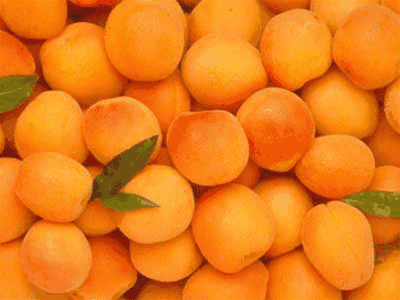 微信圖片_20200527161418.gif 微信圖片_20200527161418.gif