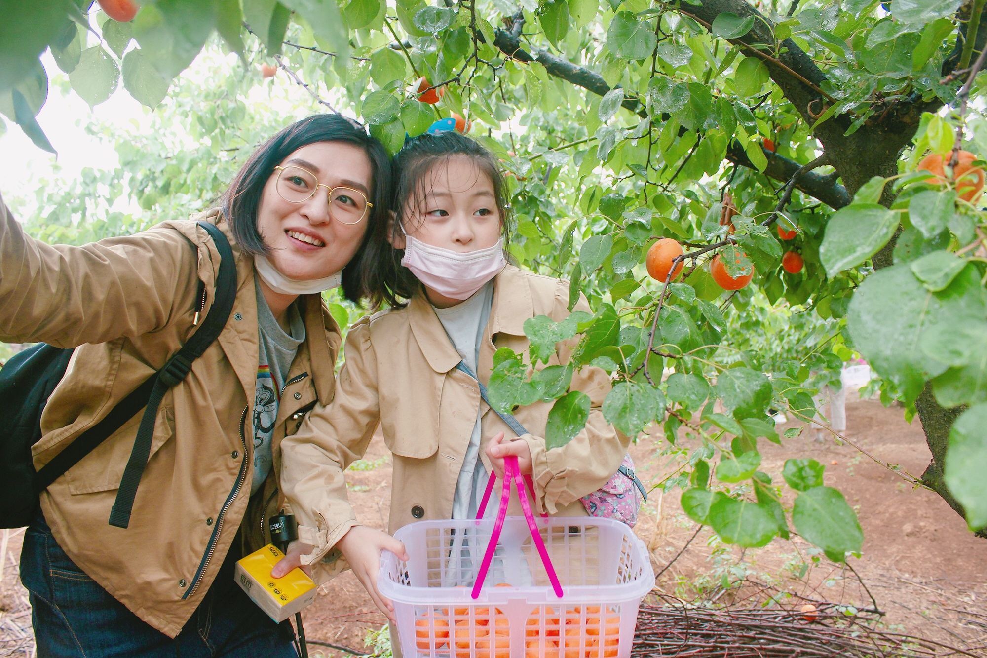 微信圖片_202006011153313.jpg 微信圖片_202006011153313.jpg