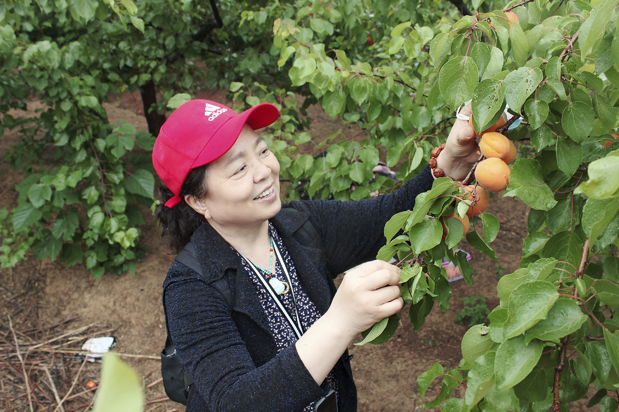 微信圖片_202006011824261.jpg 微信圖片_202006011824261.jpg