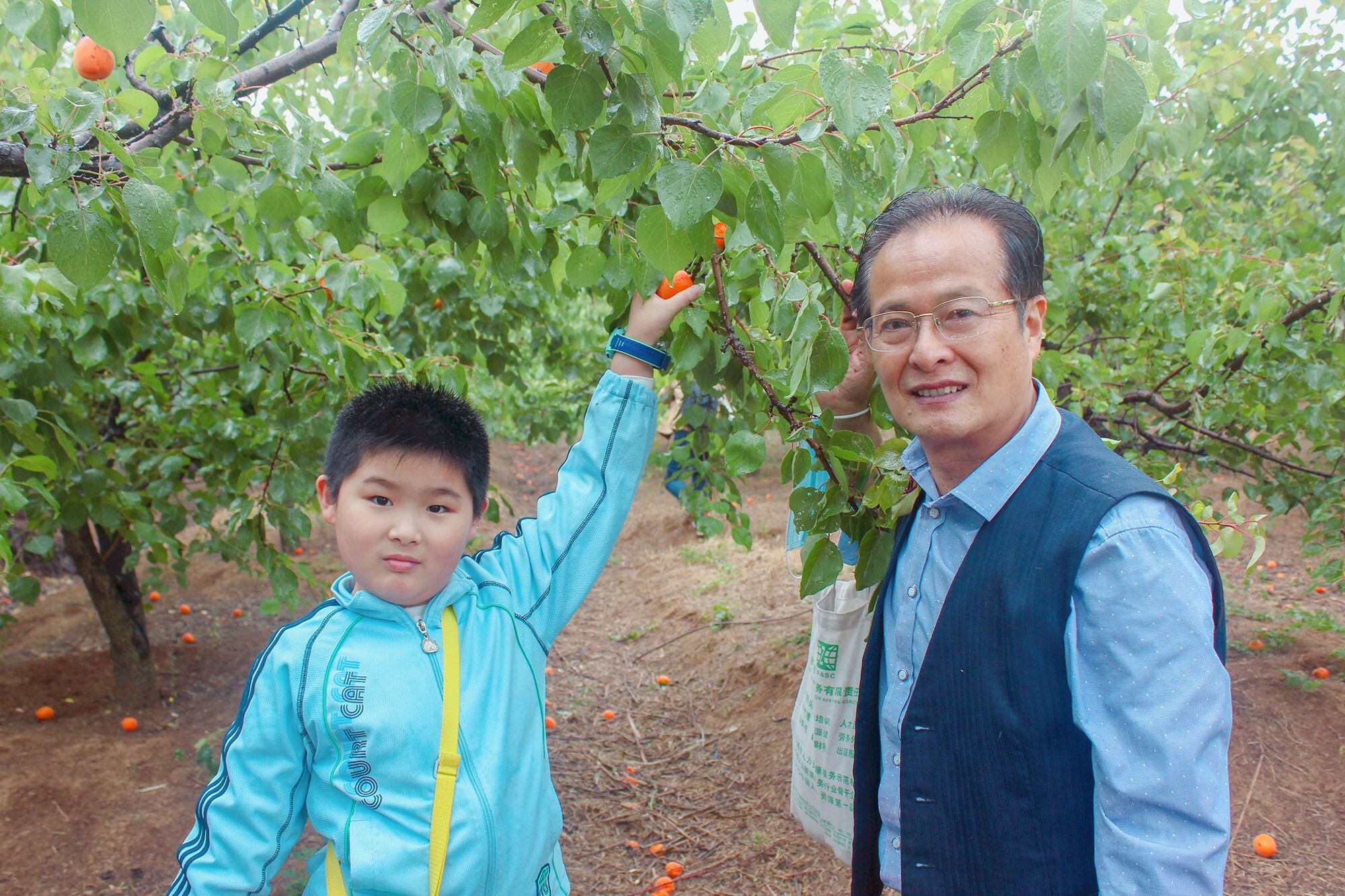 微信圖片_202006011339452.jpg 微信圖片_202006011339452.jpg