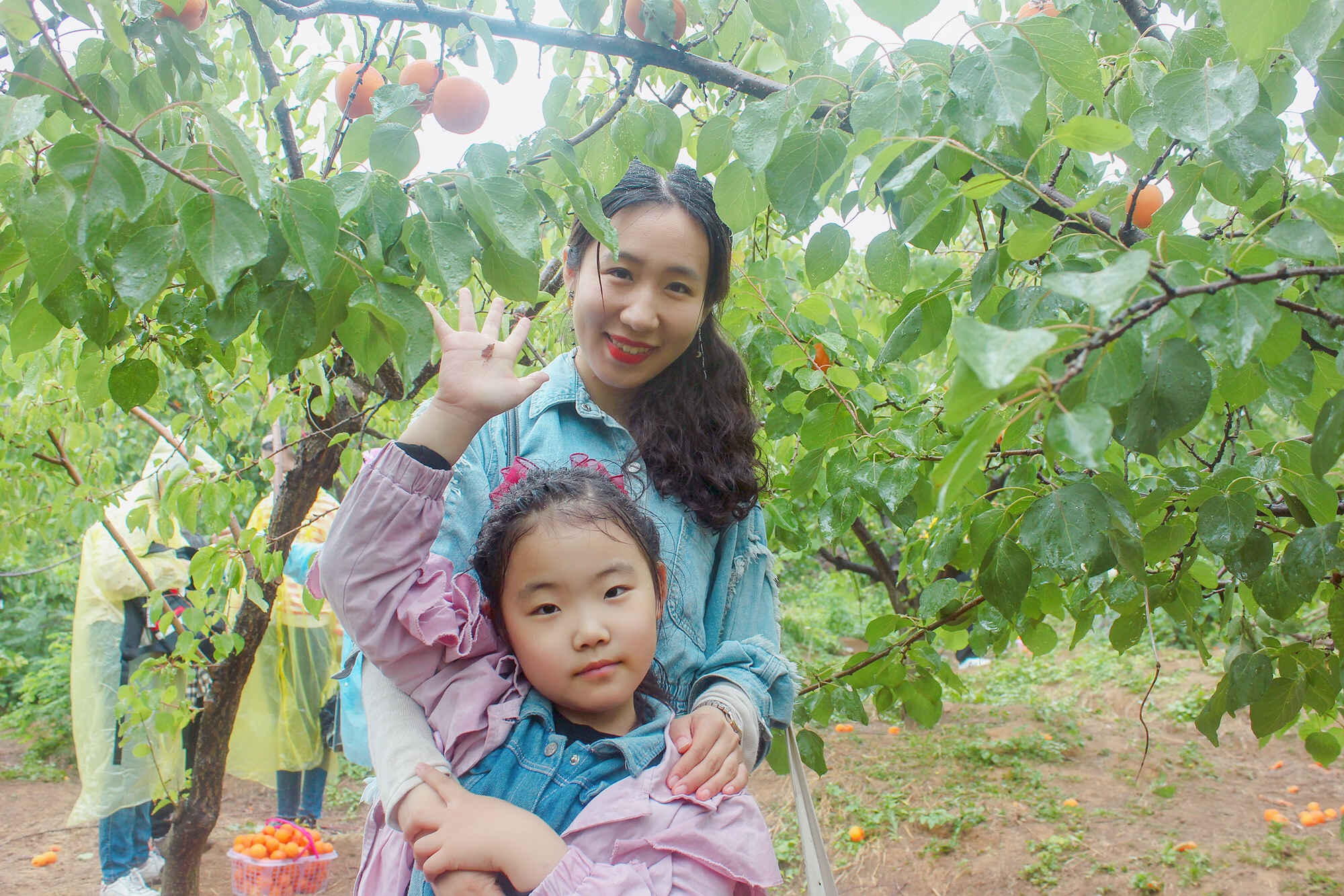 微信圖片_202006011339453.jpg 微信圖片_202006011339453.jpg