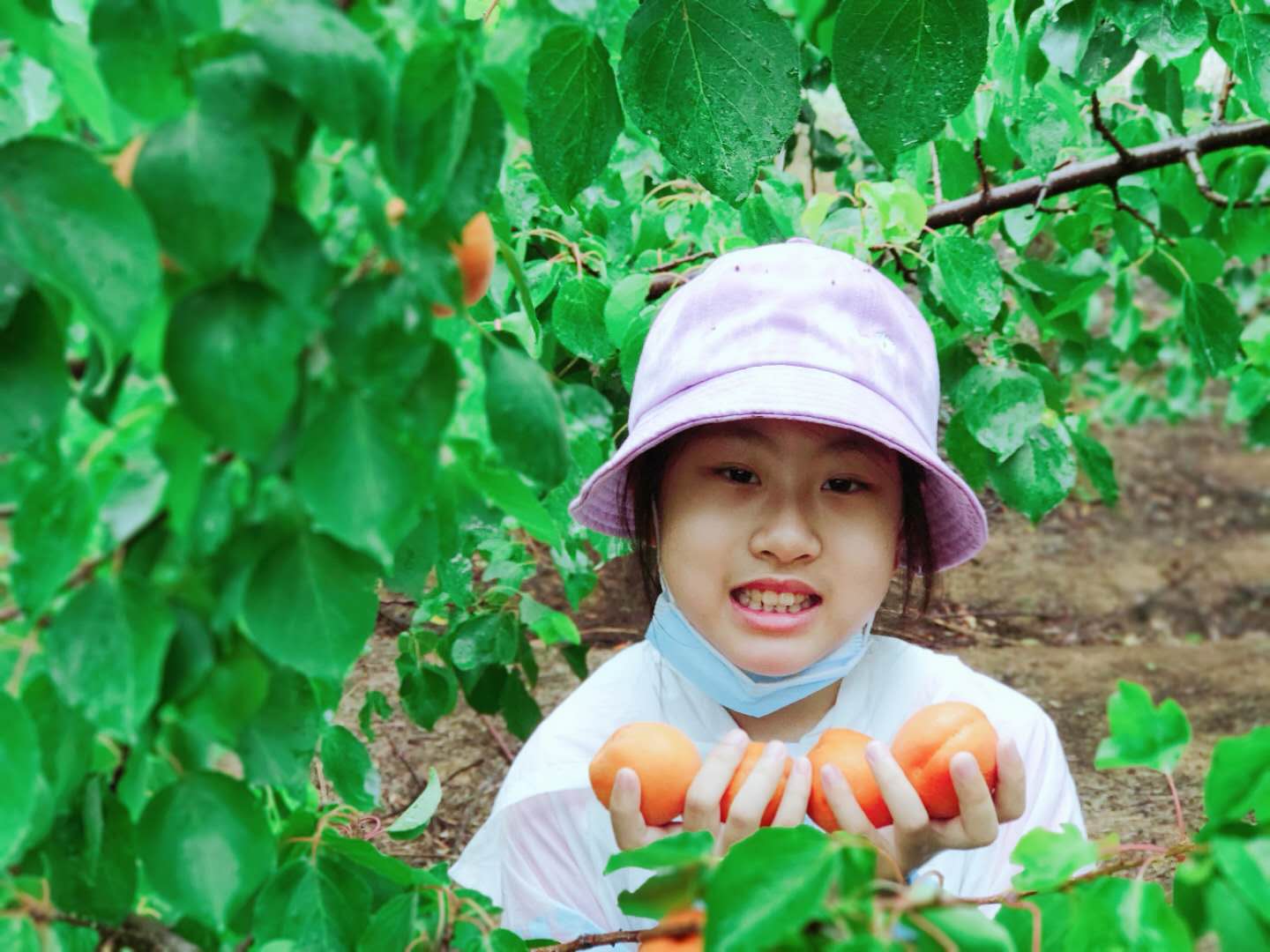 微信圖片_20200602135132.jpg 微信圖片_20200602135132.jpg