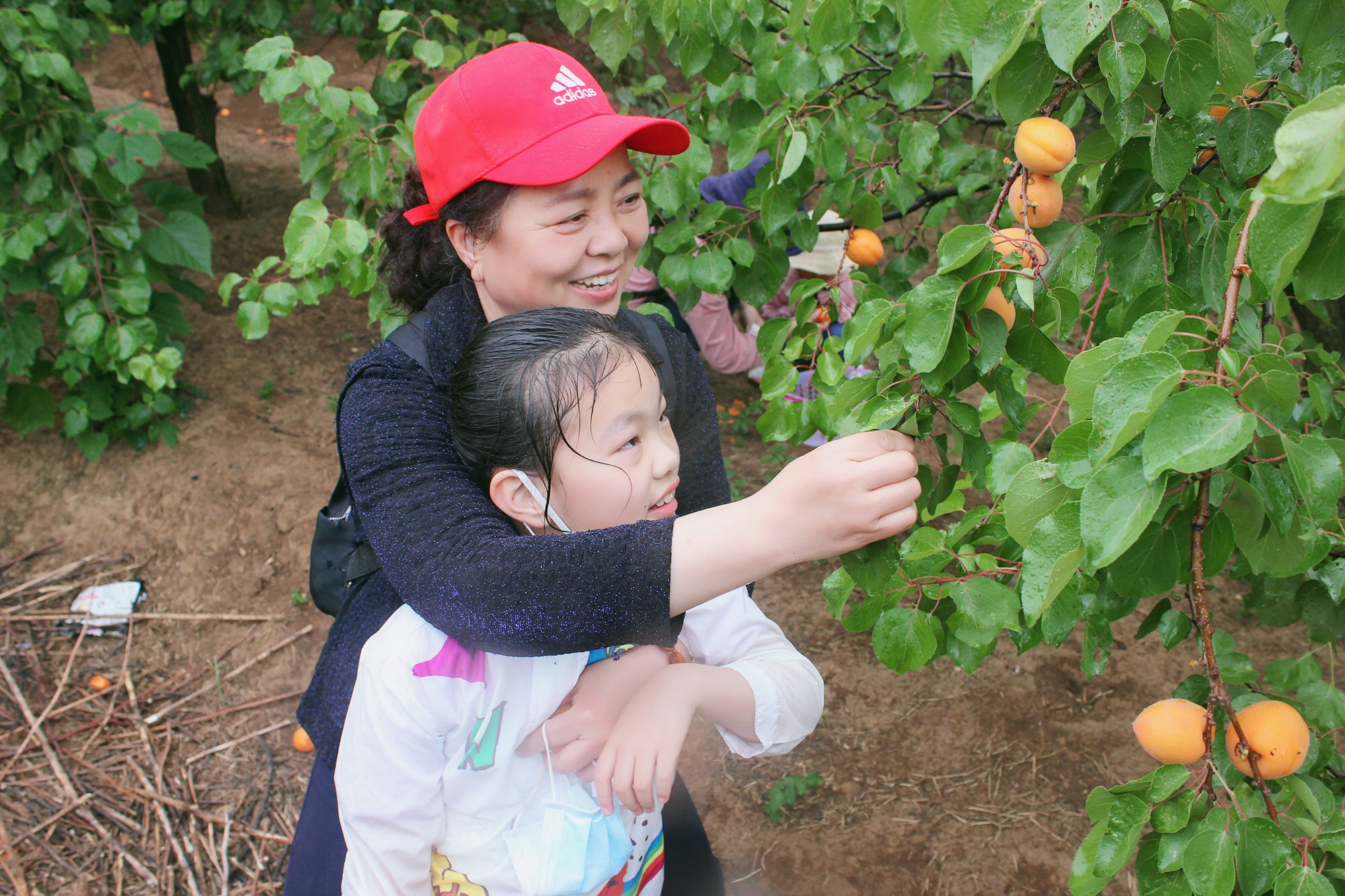 微信圖片_202006011357125.jpg 微信圖片_202006011357125.jpg