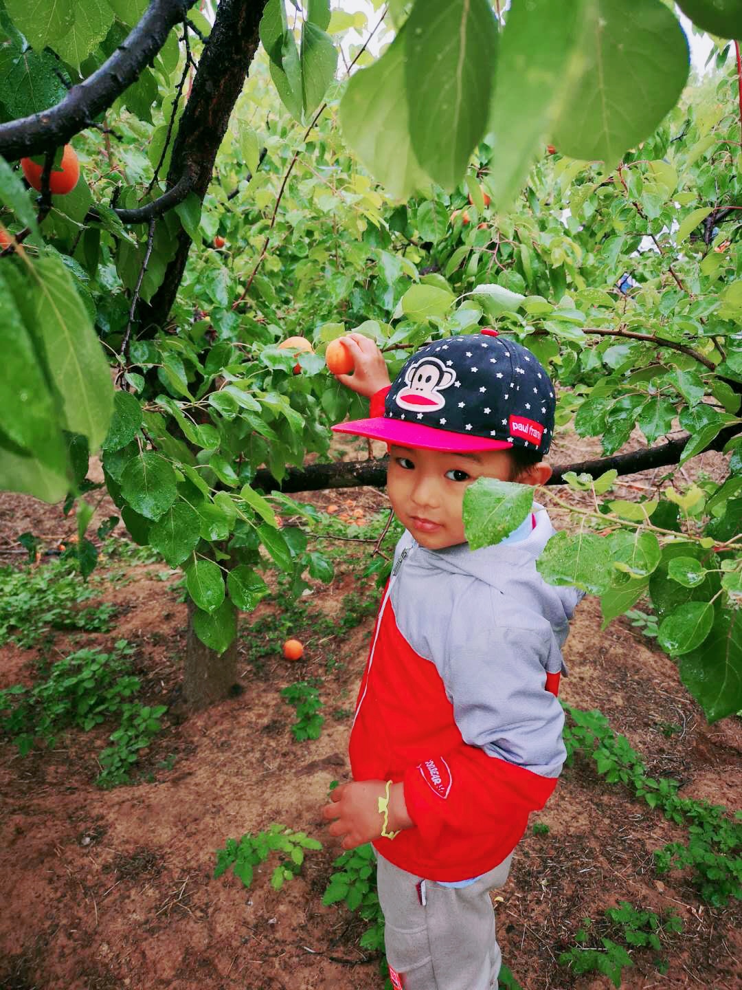 微信圖片_20200601141224.jpg 微信圖片_20200601141224.jpg