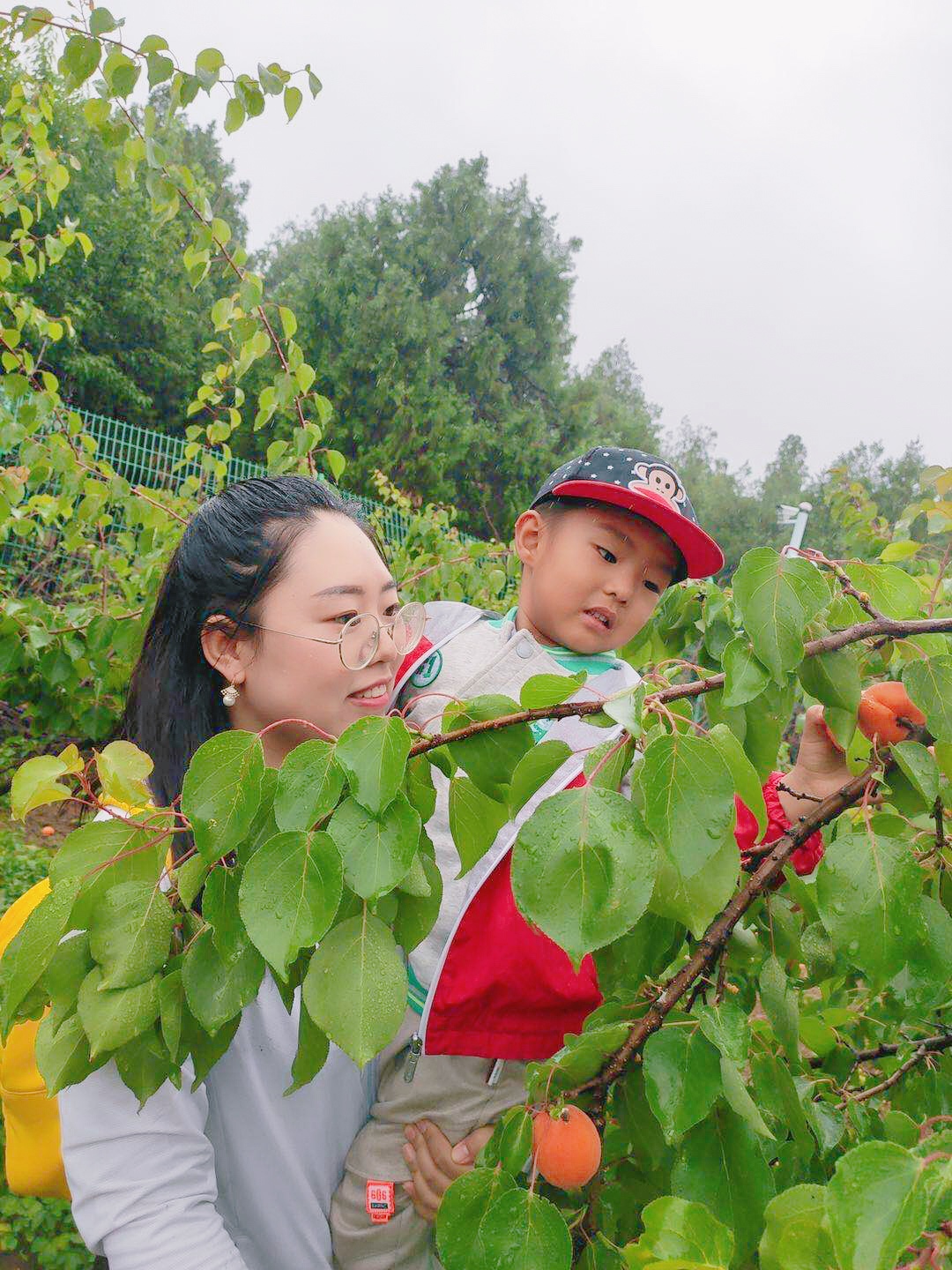 微信圖片_202006011439583.jpg 微信圖片_202006011439583.jpg