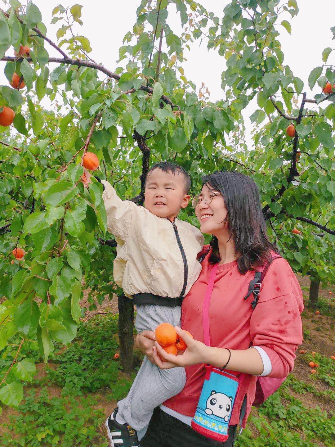 微信圖片_202006011439582.jpg 微信圖片_202006011439582.jpg