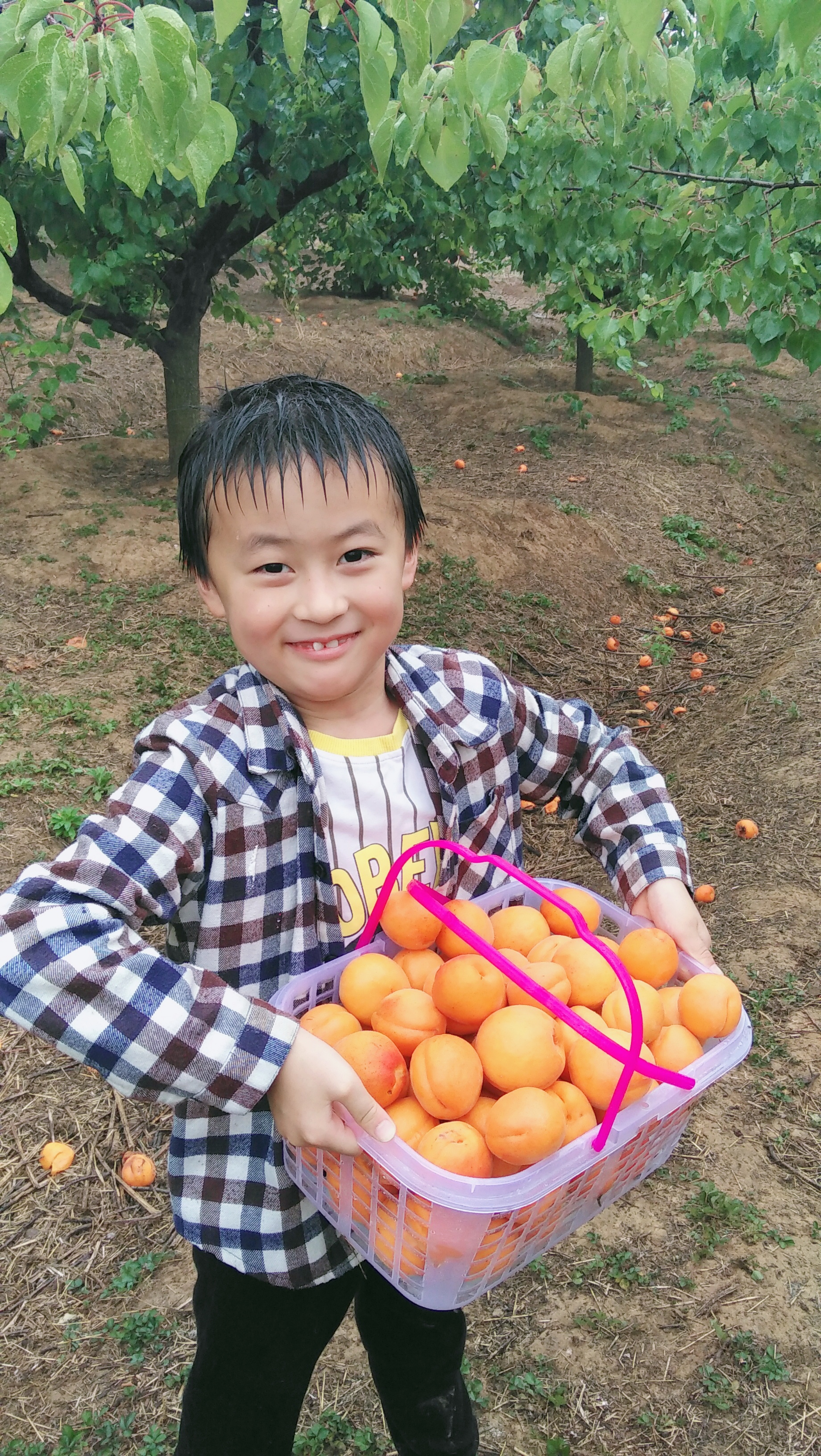 微信圖片_202006011412244.jpg 微信圖片_202006011412244.jpg