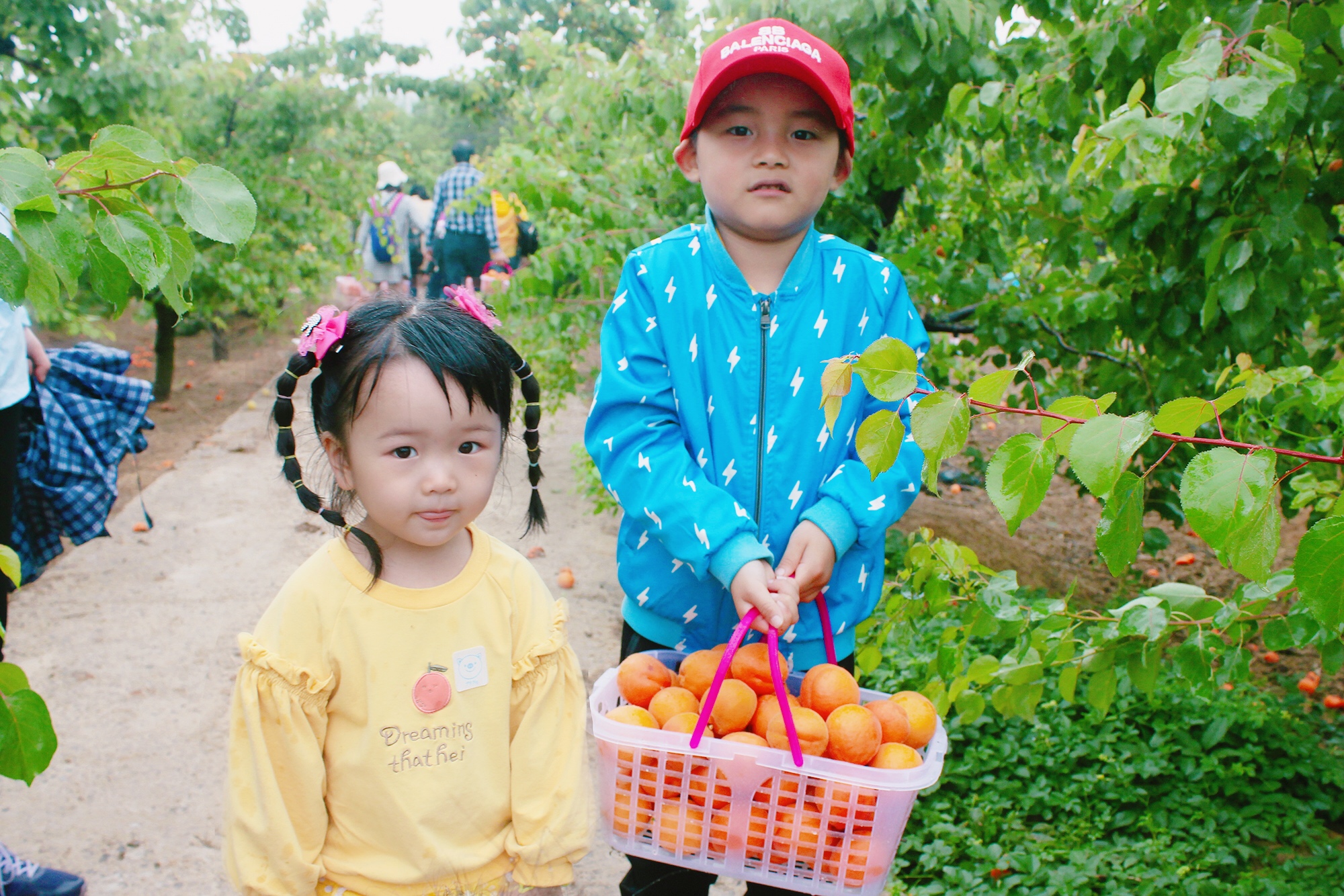 微信圖片_20200601133945.jpg 微信圖片_20200601133945.jpg