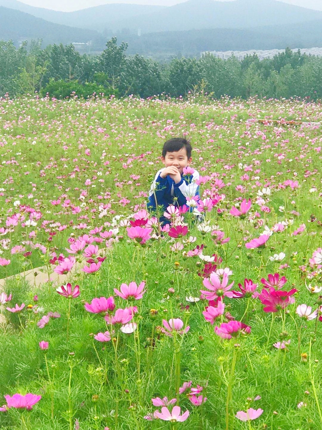 微信圖片_202006021022551.jpg 微信圖片_202006021022551.jpg