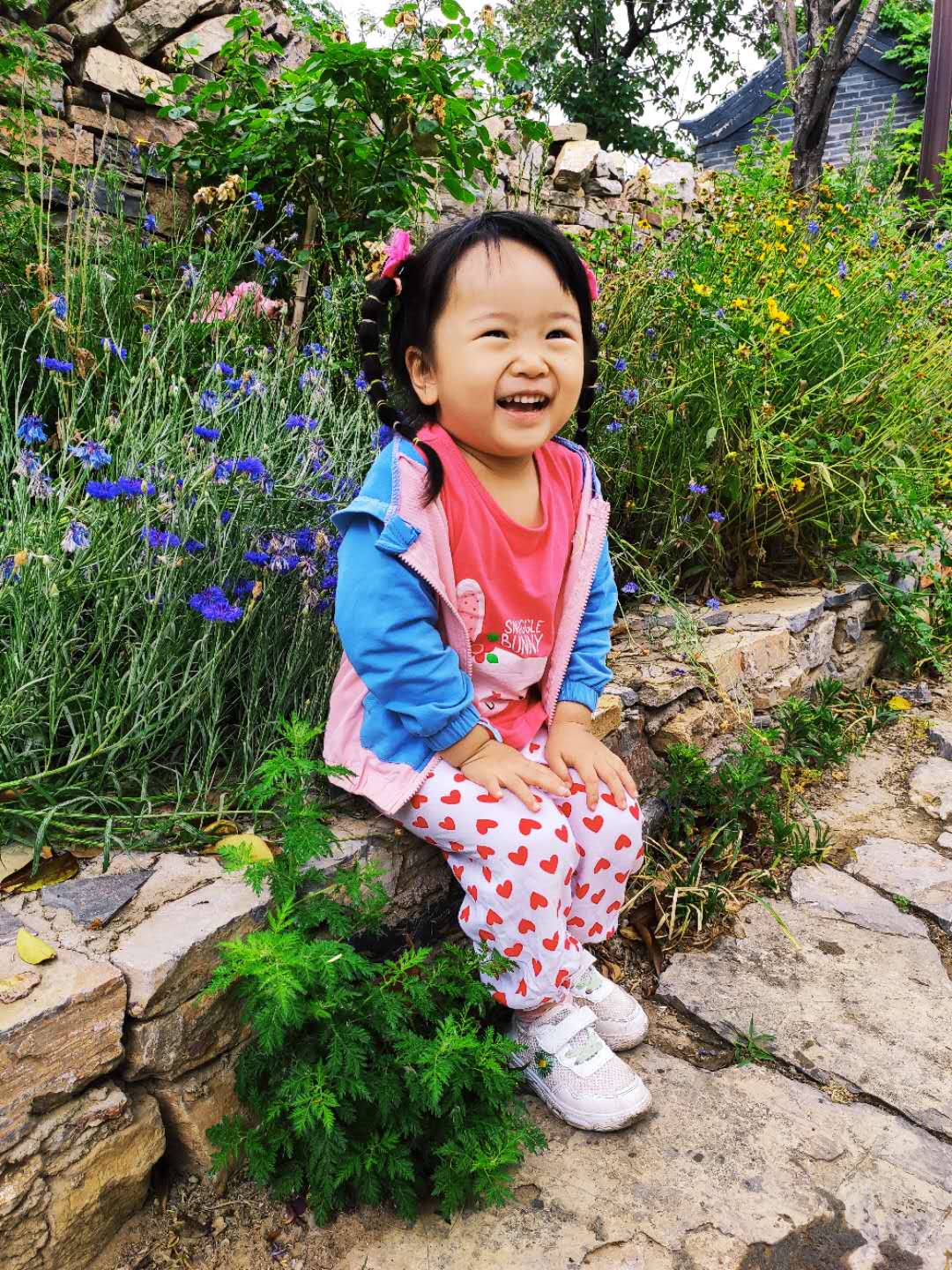 微信圖片_20200601181259.jpg 微信圖片_20200601181259.jpg